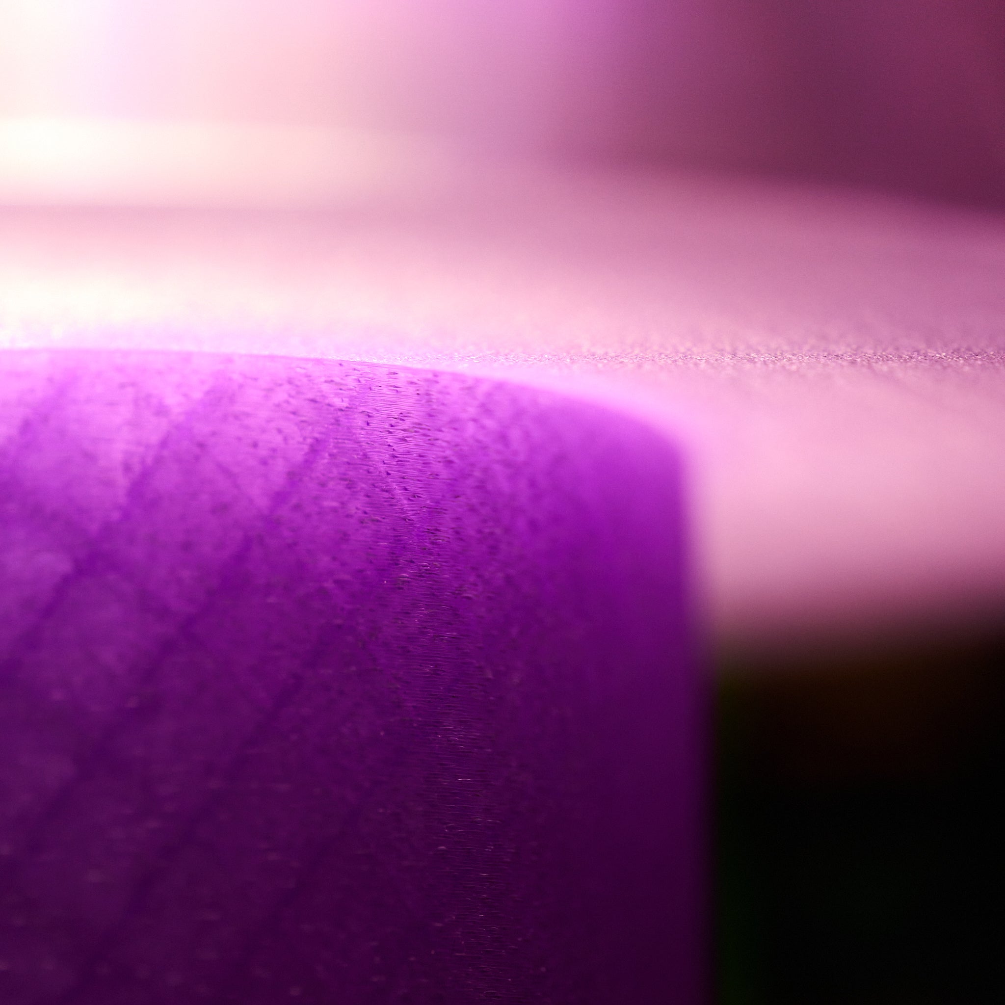 FORMA 002 - LAMP (WL)