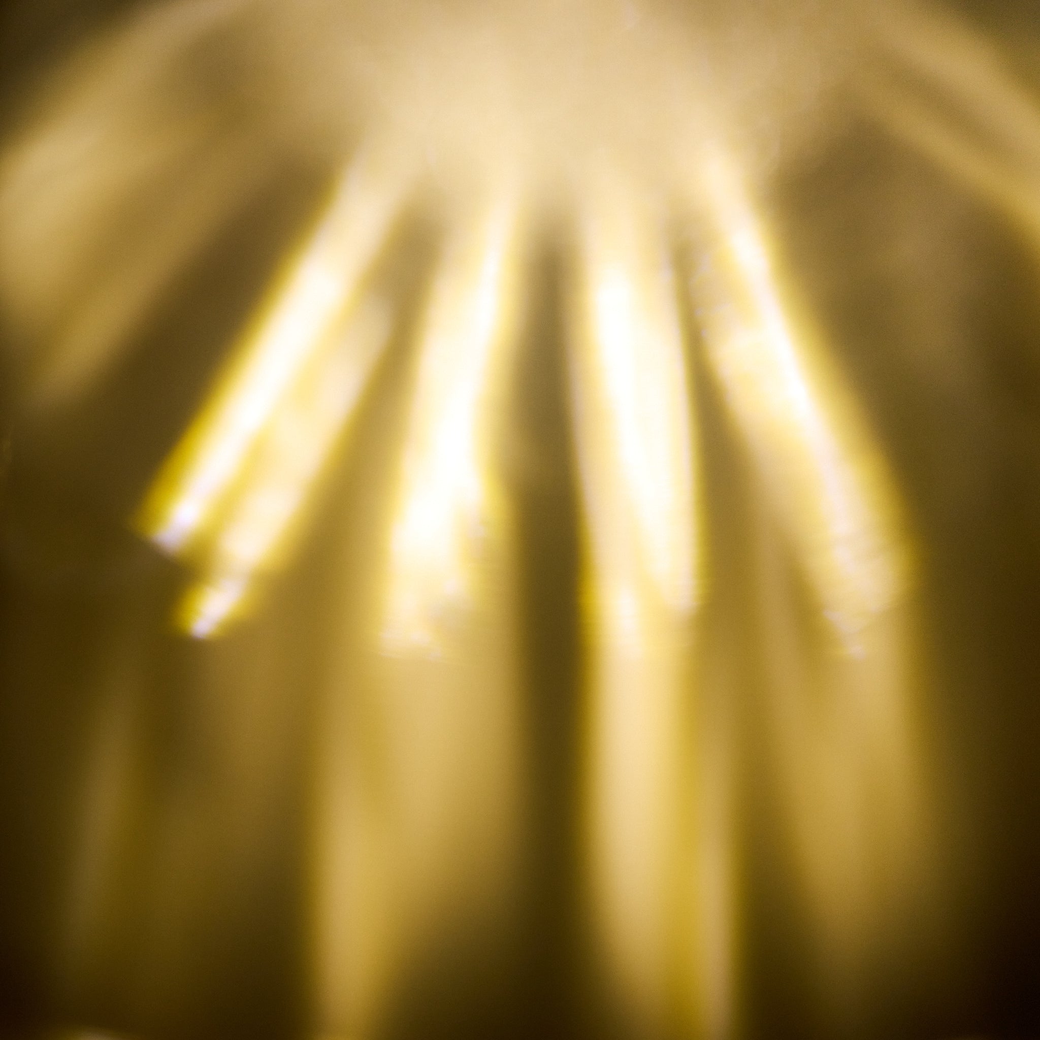 FORMA 002 - LAMP (WL)